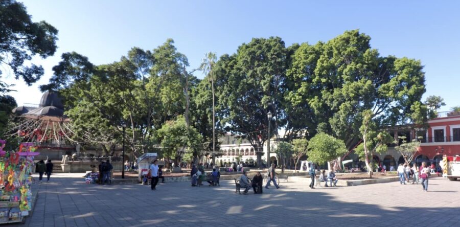 Orden y disfrute, distingue a la cotidianeidad en el Zócalo Capitalino