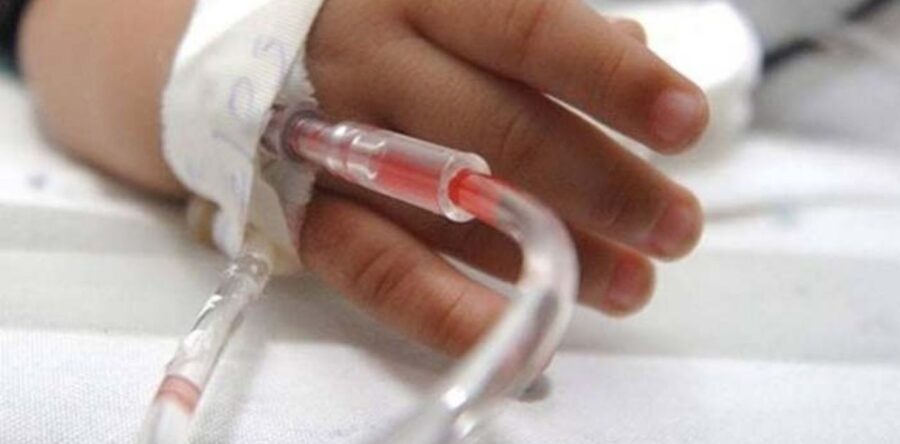 Confirma SSO muerte de paciente tras complicaciones a la salud por mordedura de fauna silvestre