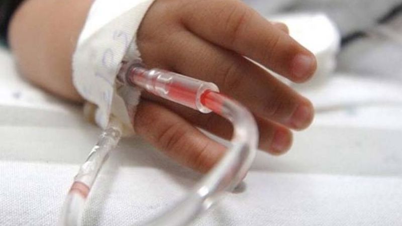 Mantiene SSO vigilancia tras casos sospechosos de rabia en humanos