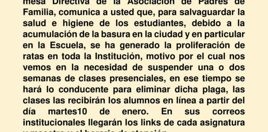 Suspenden clases en la Técnica No. 1 por una plaga de ratas en la institución