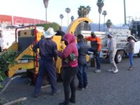 Municipio capitalino continúa mejorando la imagen del mercado de abasto