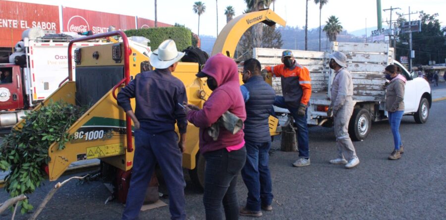 Municipio capitalino continúa mejorando la imagen del mercado de abasto