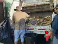 Respuesta favorable a la recolección de basura orgánica en la capital
