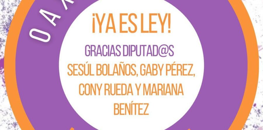 Madres víctimas de violencia vicaria celebran aprobación de la Ley Vicaria