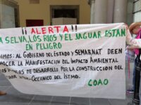 Ambientalistas piden hacer pública la manifestación de impacto ambiental  del Corredor Interoceánico