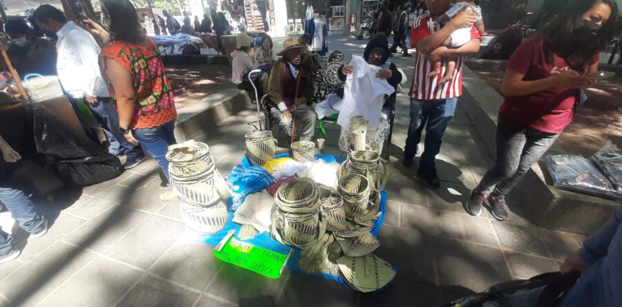 Conmemora la Sección 22 el Día Internacional de las Lenguas Originarias