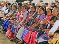 Pueblos indígenas y minorías en Oaxaca, ¿estarán dispuestos a legitimar una reforma electoral regresiva? | Adrián Ortiz Romero Cuevas
