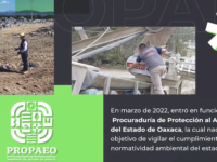 Un año protegiendo la riqueza natural de Oaxaca