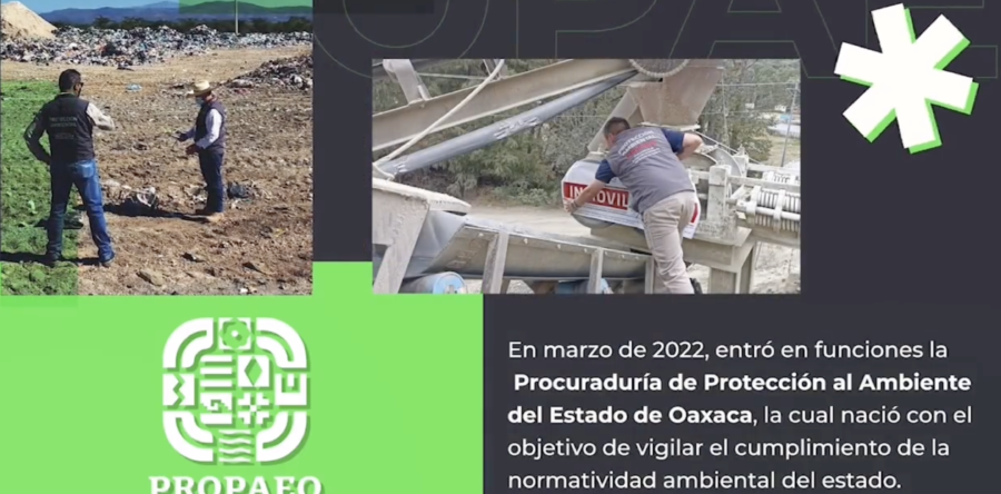 Un año protegiendo la riqueza natural de Oaxaca
