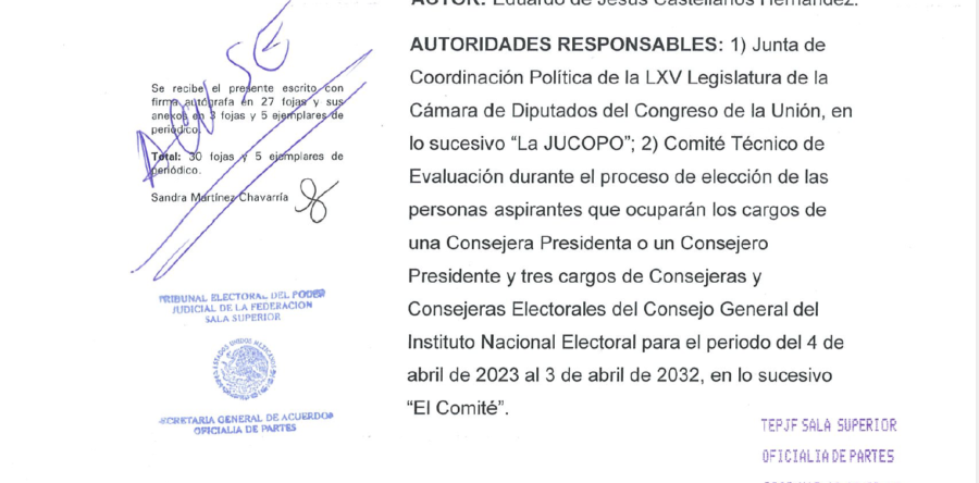 Demanda Eduardo Castellanos, nulidad de elección de 4 consejeros electorales | Alfredo Martínez de Aguilar