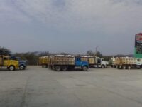 Continúa la problemática en la ejecución del proyecto del rompeolas en Salinas del Marqués