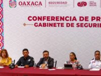 Incendios en zonas de conflicto de la Mixteca pudieron haber sido provocados, se investigará: Sego