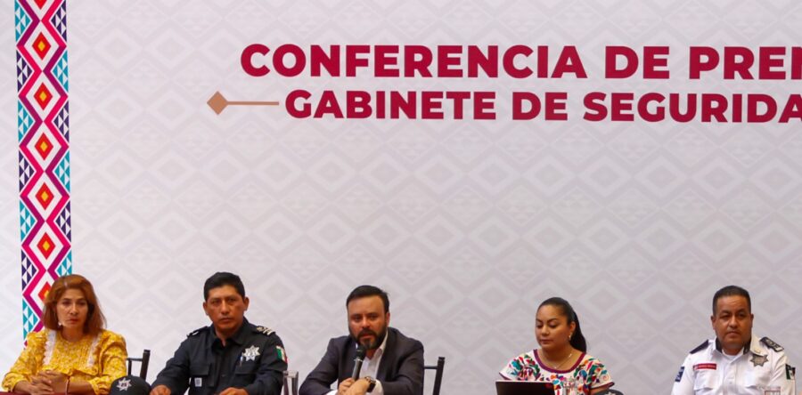 Incendios en zonas de conflicto de la Mixteca pudieron haber sido provocados, se investigará: Sego