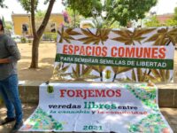 Realizan jornada de información sobre el consumo de cannabis en Oaxaca