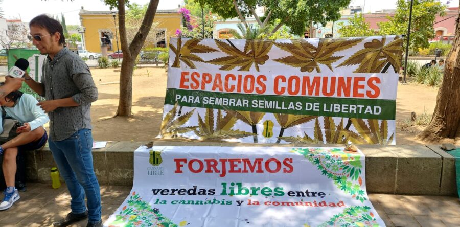Realizan jornada de información sobre el consumo de cannabis en Oaxaca
