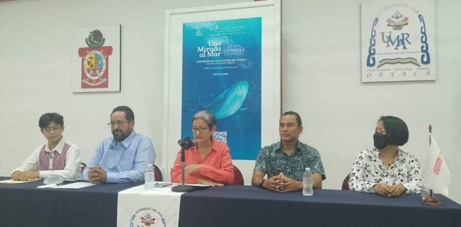 Realiza la UMAR la exposición de Colecciones Biológicas “Una Mirada al Mar”