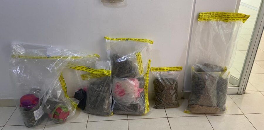 Asegura Fiscalía de Oaxaca golosinas con mariguana, así como otras drogas