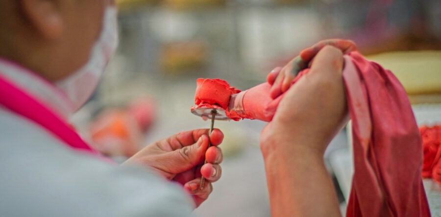 Ofrece Icapet más de 300 cursos con validez oficial