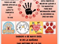 Marcharán contra el maltrato animal