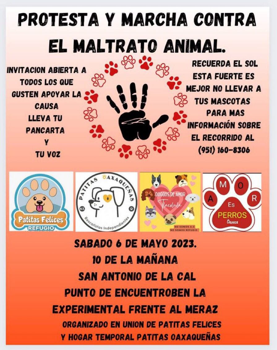 Marcharán contra el maltrato animal