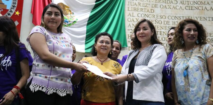 No más violentadores en el gobierno, pide brigada violeta al H. Congreso de Oaxaca