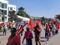 Se movilizan las organizaciones MAIZ y Sol Rojo