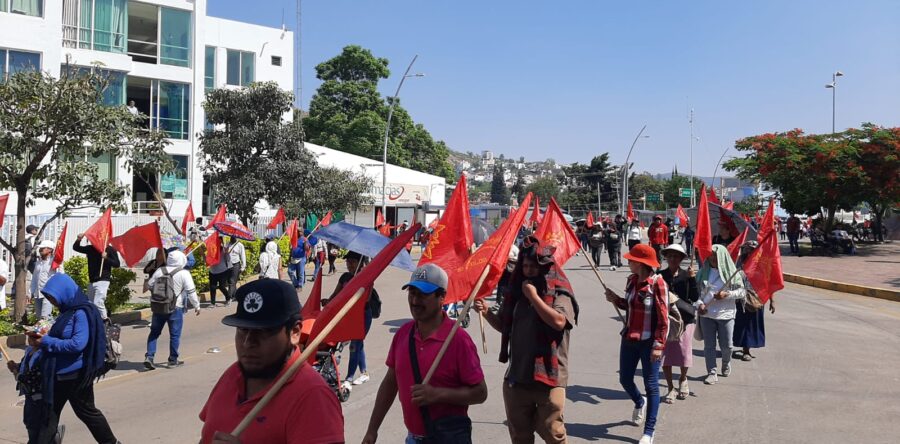 Se movilizan las organizaciones MAIZ y Sol Rojo