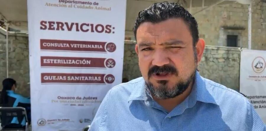 Arranca la campaña de esterilización y vacunación antirrábica de perros y gatos en la Plaza de la Danza