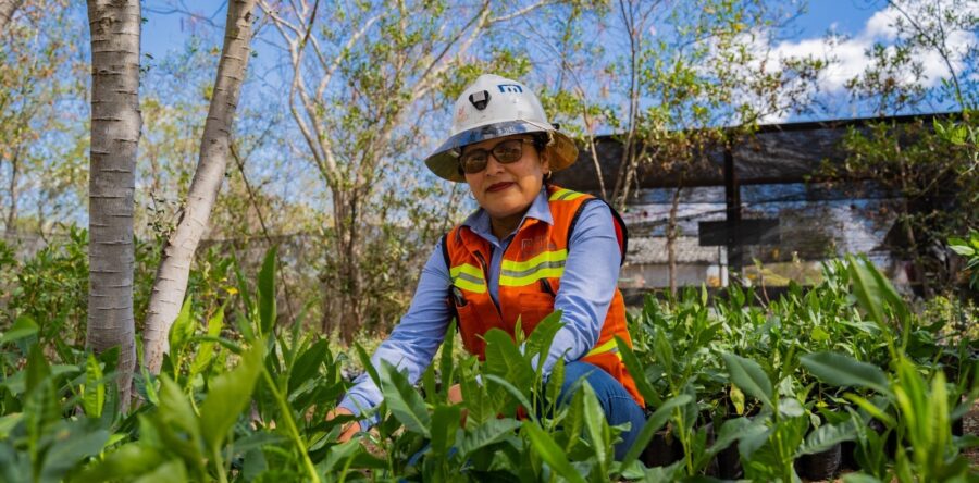 Compañía Minera Cuzcatlán avanza hacia la ecoeficiencia