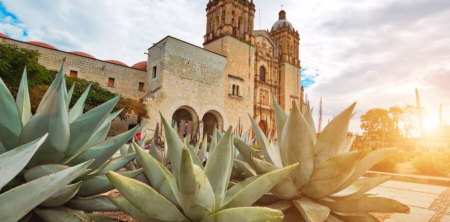 Oaxaca || Moisés Molina*