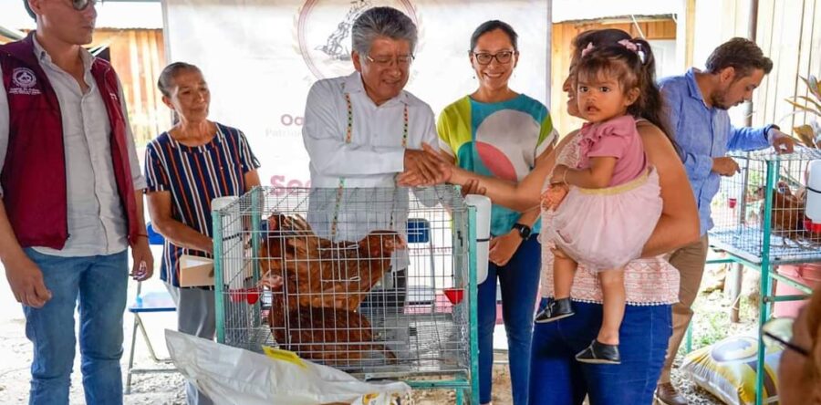 Continúa la entrega de Módulos Pecuarios en la modalidad de Granja Avícola Familiar