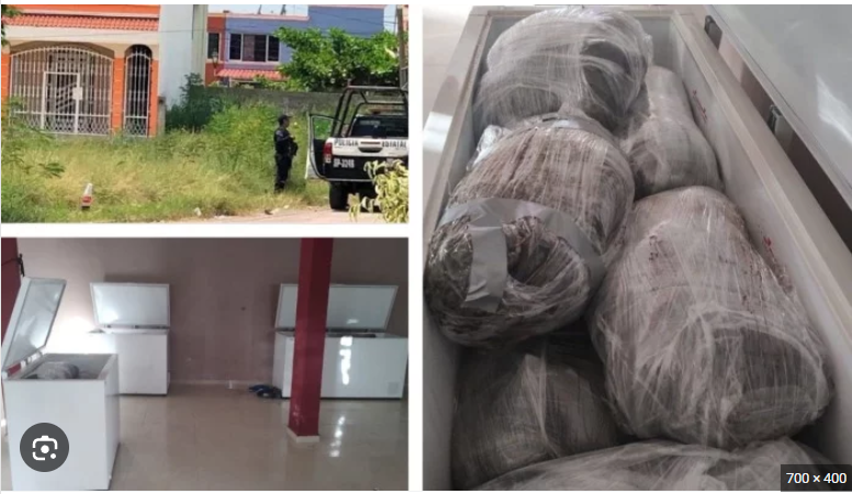 El terror político-electoral sembrado  por el horror de la orgía de sangre || Alfredo Martínez de Aguilar