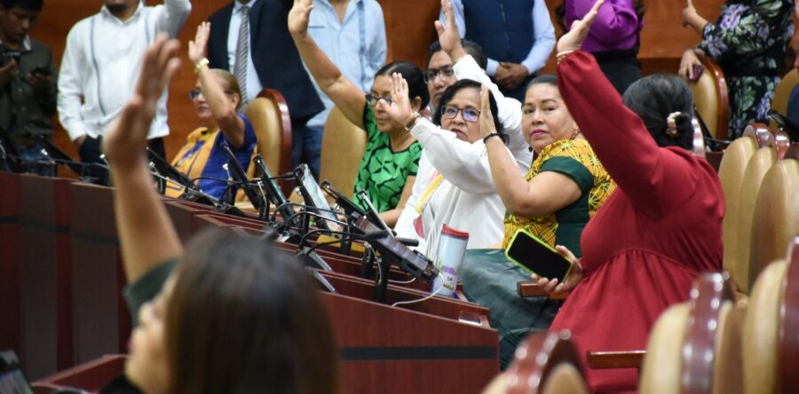 Aplicarán en Oaxaca 15 años de cárcel a “halcones”, 14 por venta de  vehículos robados para actividades delictivas y 14 a prestamistas “gota a gota”