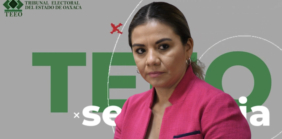 TEEO declara inexistente violencia política denunciada por diputada  de Nueva Alianza; reclamaba más recursos al Presidente de la Jucopo