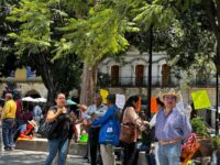 Protestan supervisores y jefes de sector de la Sección XXII