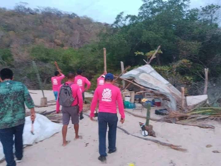 Desmantelan campamento clandestino con más de 100 nidos de huevo de tortugas