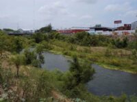 Concede jueza federal amparo a joven indígena oaxaqueña y Litigio Estratégico Indígena: ordena rescatar el Río de Los Perros