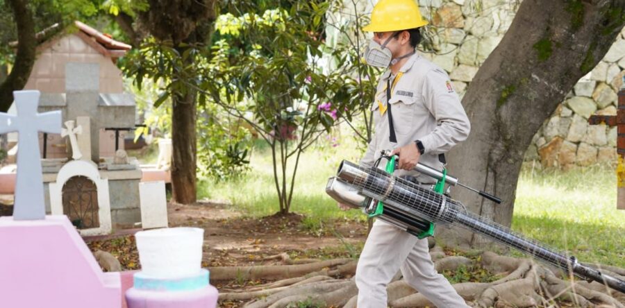 Reporta SSO 116 casos nuevos de dengue