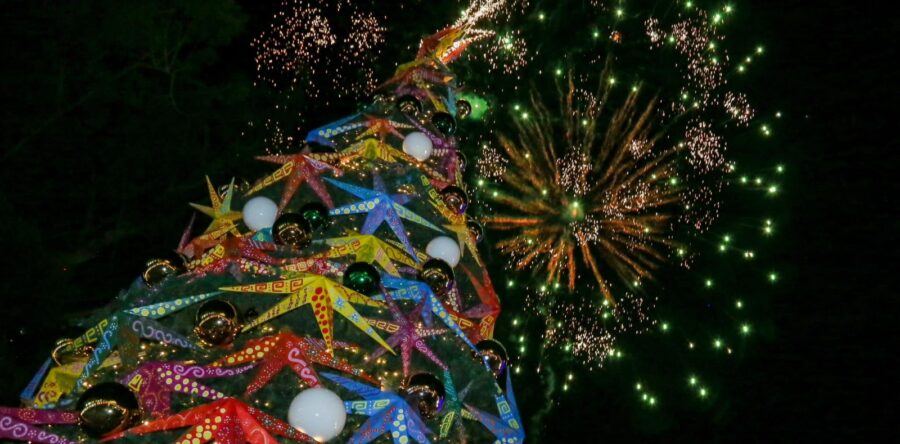 Con encendido de árbol de navidad comienzan las fiestas decembrinas en Oaxaca