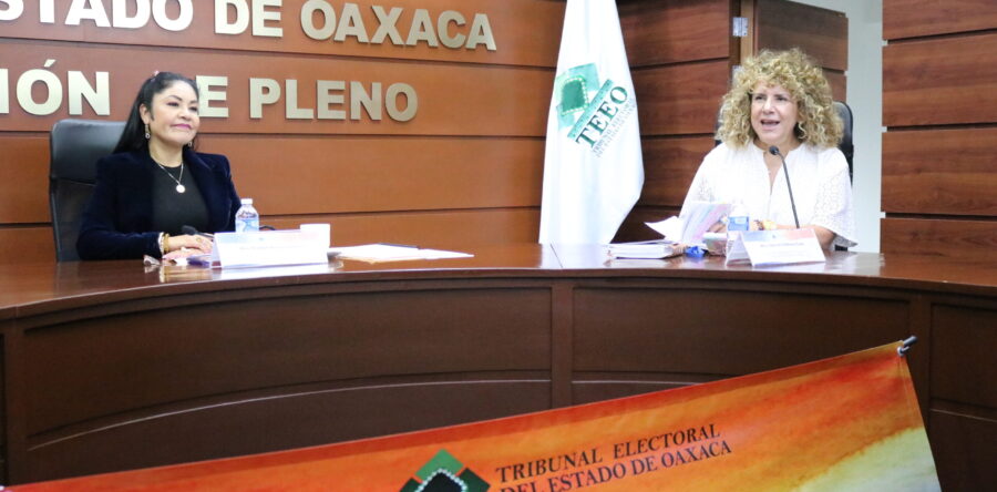 Debaten sobre diferencias de libertad de expresión  y violencia digital contra mujeres en Oaxaca