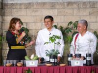 El campo agrícola, ganadero y forestal son fundamentales para la economía de Oaxaca: Salomón Jara