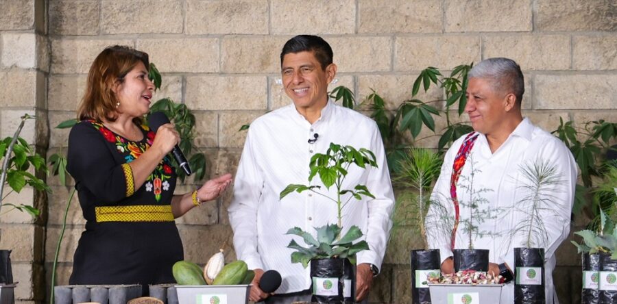 El campo agrícola, ganadero y forestal son fundamentales para la economía de Oaxaca: Salomón Jara